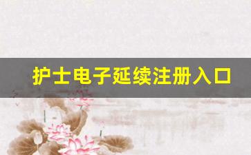 护士电子延续注册入口_护士电子资格证注册入口