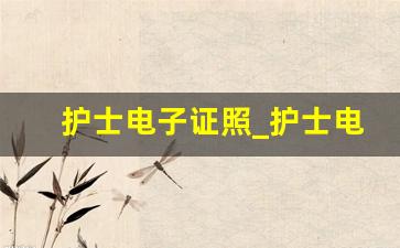 护士电子证照_护士电子证照如何使用