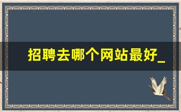 招聘去哪个网站最好_招聘信息去哪里看