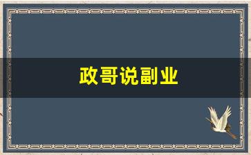 政哥说副业