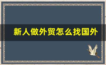 新人做外贸怎么找国外客户