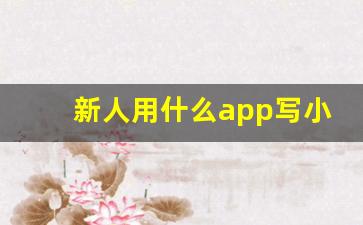 新人用什么app写小说好