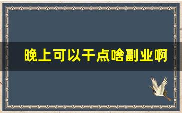 晚上可以干点啥副业啊