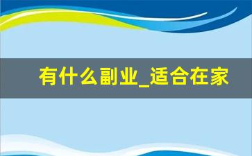 有什么副业_适合在家做的兼职或副业