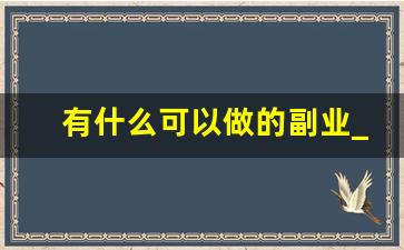 有什么可以做的副业_下班后赚钱的100个副业