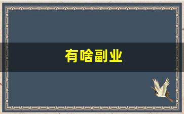 有啥副业
