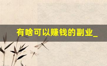 有啥可以赚钱的副业_兼职副业可以做些什么