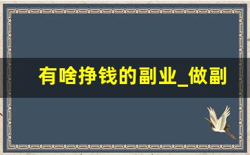 有啥挣钱的副业_做副业做什么比较好
