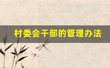 村委会干部的管理办法_村支书是什么级别干部