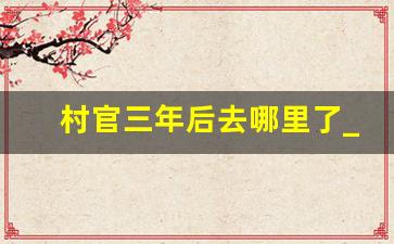 村官三年后去哪里了_考上村官不去的后果