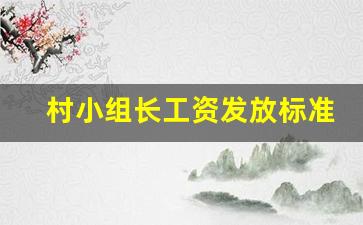 村小组长工资发放标准