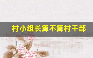 村小组长算不算村干部_村民小组长是什么职务