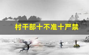 村干部十不准十严禁