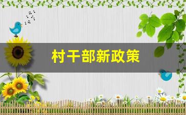 村干部新政策
