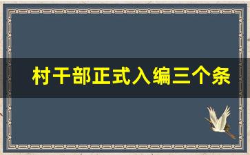 村干部正式入编三个条件