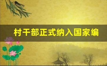 村干部正式纳入国家编制文件_大学生村官最终出路