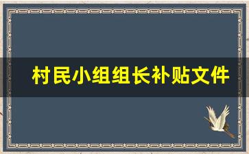 村民小组组长补贴文件_党小组组长有补助吗