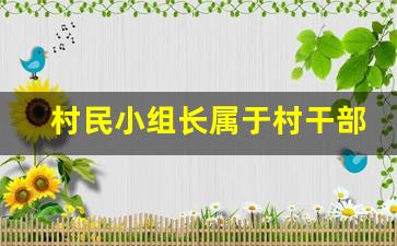 村民小组长属于村干部吗_告倒村书记最好的方法