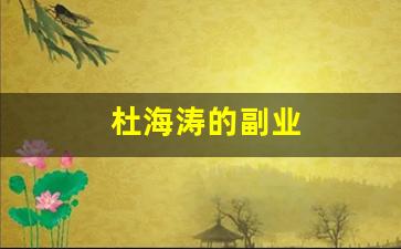 杜海涛的副业