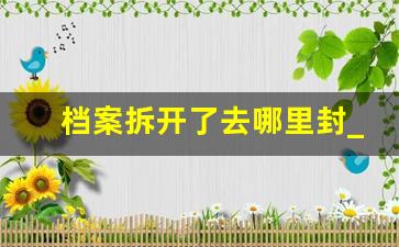 档案拆开了去哪里封_代办档案补办要多少钱