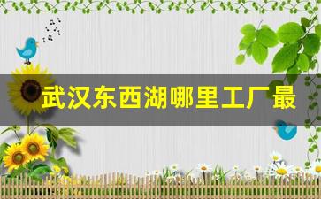 武汉东西湖哪里工厂最多_武汉东西湖女生多的厂子有多少人
