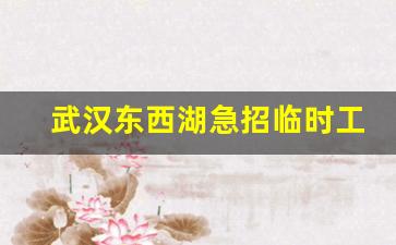 武汉东西湖急招临时工_武汉东西湖招聘网最新招聘信息