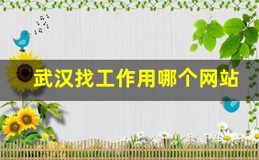 武汉找工作用哪个网站_武汉大型企业招聘信息