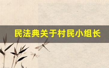 民法典关于村民小组长的条款_农村小组长属于什么人员
