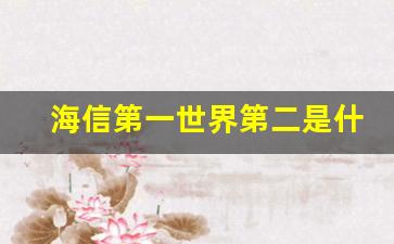 海信第一世界第二是什么意思_世界第一的电视机品牌