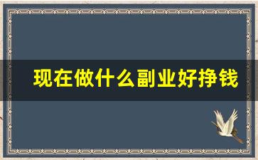 现在做什么副业好挣钱_在家做的副业