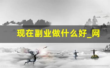 现在副业做什么好_网上挣钱最稳的副业
