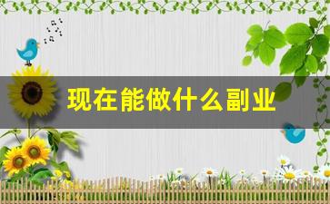 现在能做什么副业