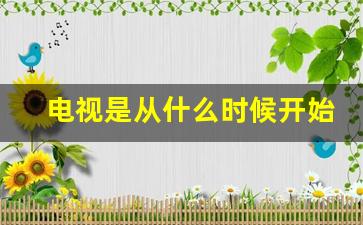 电视是从什么时候开始的