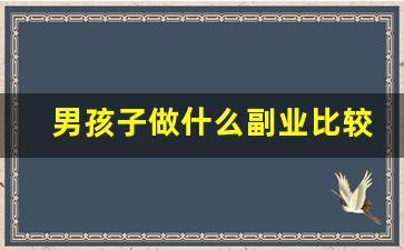 男孩子做什么副业比较好