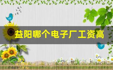 益阳哪个电子厂工资高_益阳电子厂包吃包住五千