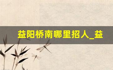 益阳桥南哪里招人_益阳步行街