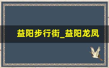 益阳步行街_益阳龙凤巷攻略