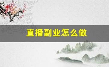 直播副业怎么做