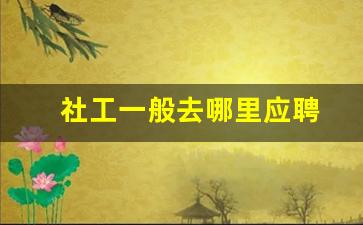社工一般去哪里应聘