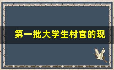 第一批大学生村官的现状_2024年大学生村官怎么报考