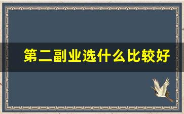 第二副业选什么比较好_业余时间干点什么副业