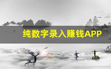 纯数字录入赚钱APP_小说录入员官方版