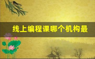 线上编程课哪个机构最好