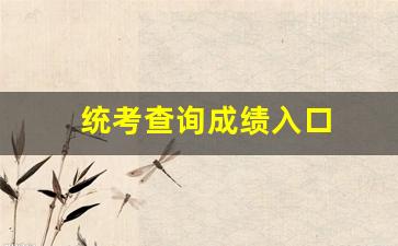 统考查询成绩入口
