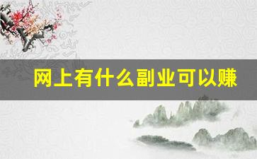 网上有什么副业可以赚钱_网上能做的副业