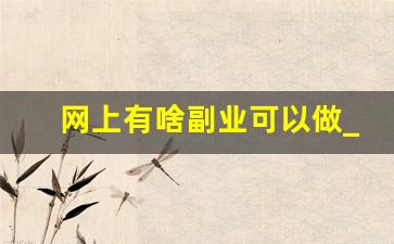 网上有啥副业可以做_网上副业做什么比较靠谱