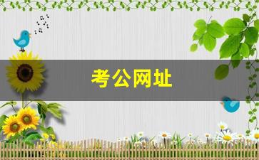 考公网址