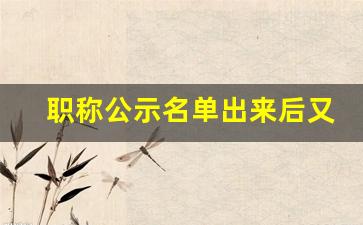 职称公示名单出来后又没了_已经评上职称可以举报吗