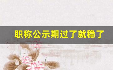 职称公示期过了就稳了吗_已经评上职称可以举报吗