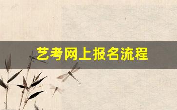 艺考网上报名流程